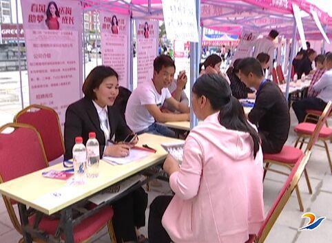周口市农业局最新招聘信息概览，职位、要求及申请指南