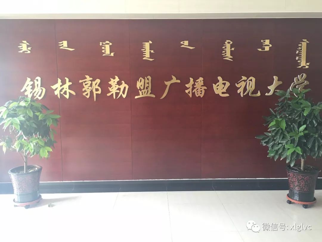 锡林郭勒盟市广播电视局最新招聘信息速递