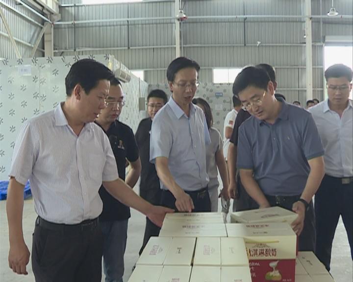 建华区科技局最新发展规划，打造科技创新高地，引领区域经济发展新篇章