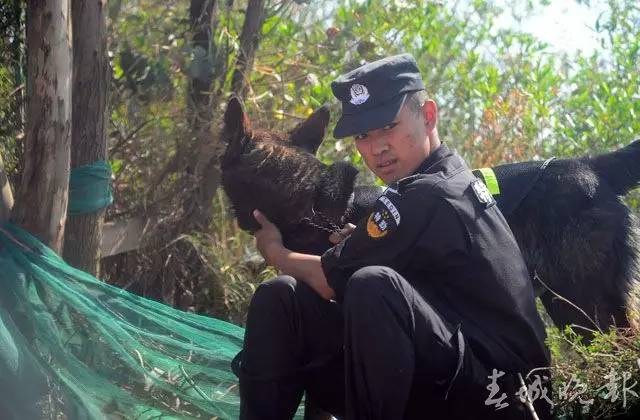 昆明逃犯越狱最新情况分析与报道